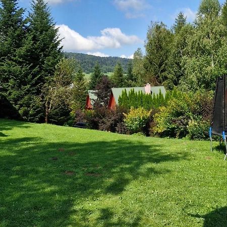 Domki Pod Kiczera W Baligrodzie, Bieszczady Exteriör bild